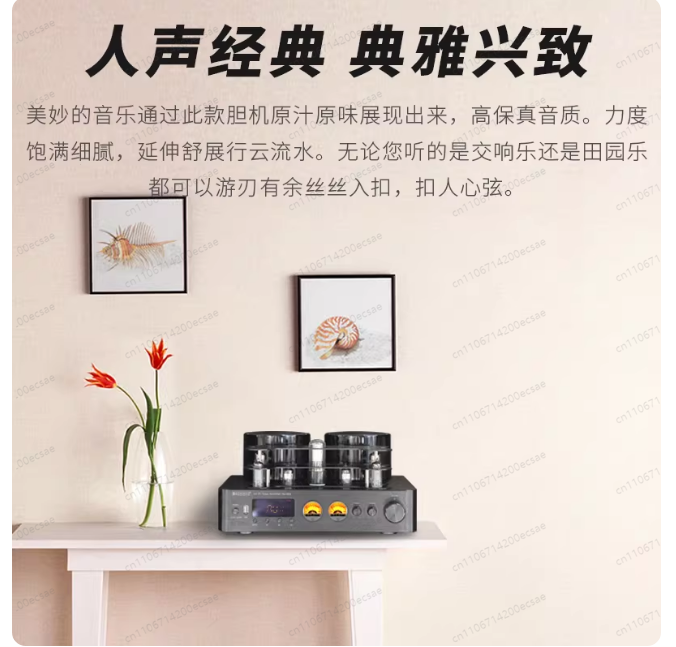 220V 400W * 2 ハイファイワイヤレス真空管パワー - Audio Music In Youtube のレビューと価格